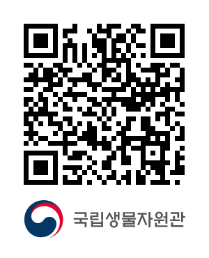 QR코드