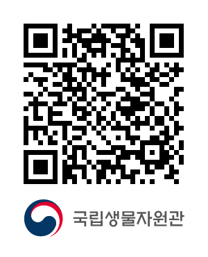 QR코드