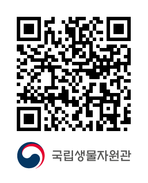 QR코드