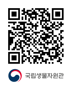 QR코드