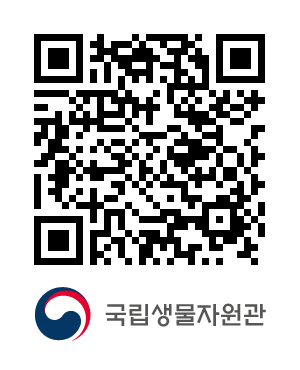 QR코드