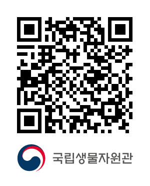 QR코드