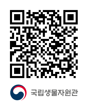 QR코드