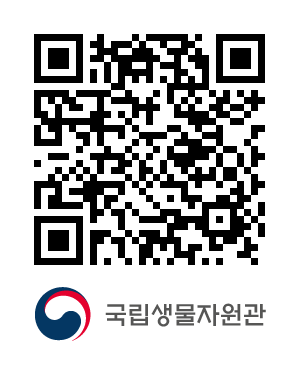 QR코드