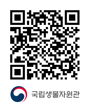 QR코드