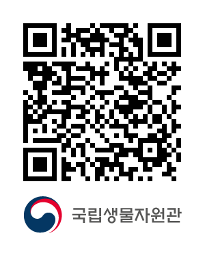 QR코드