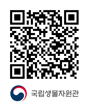 QR코드