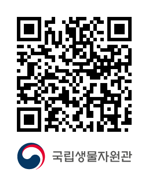 QR코드