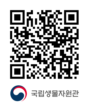 QR코드