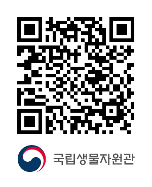 QR코드