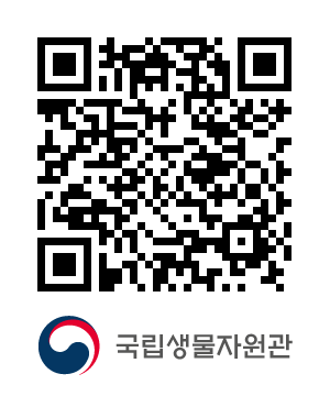 QR코드