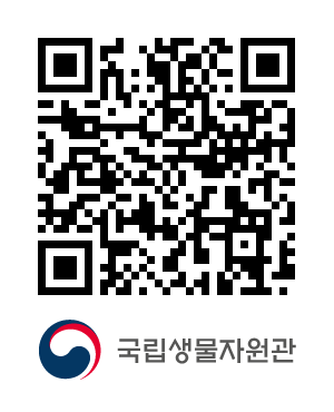 QR코드