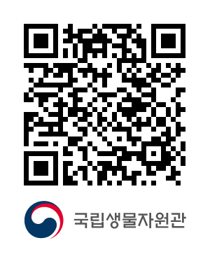 QR코드