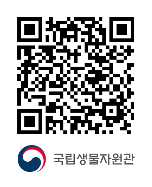 QR코드
