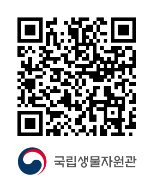 QR코드