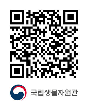 QR코드