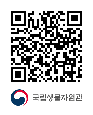 QR코드