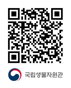 QR코드