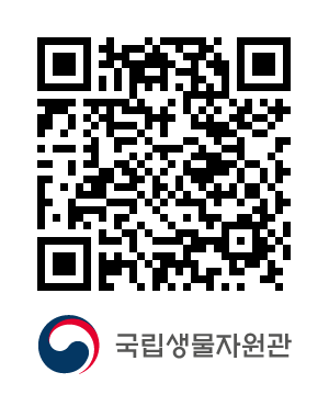 QR코드