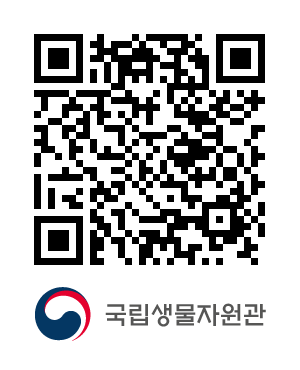 QR코드
