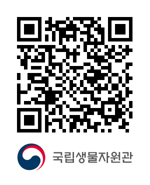 QR코드