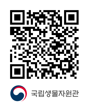 QR코드