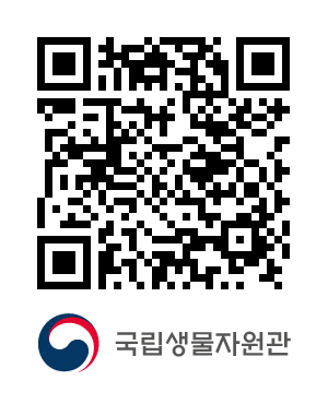 QR코드