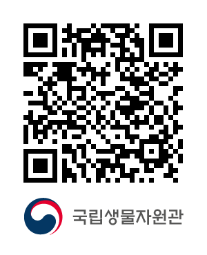 QR코드