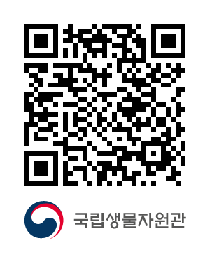 QR코드