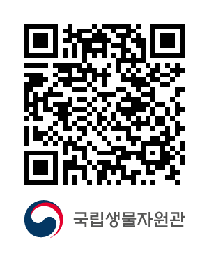 QR코드