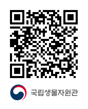 QR코드