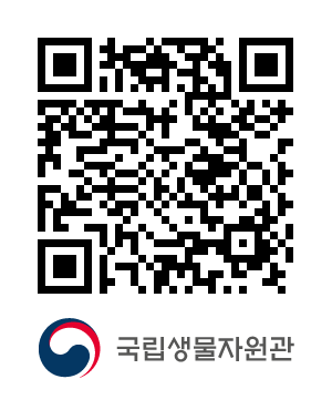 QR코드