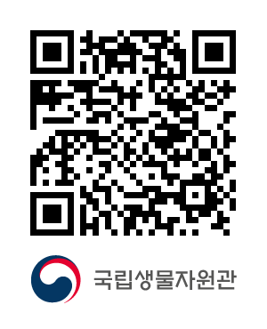 QR코드