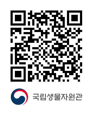 QR코드