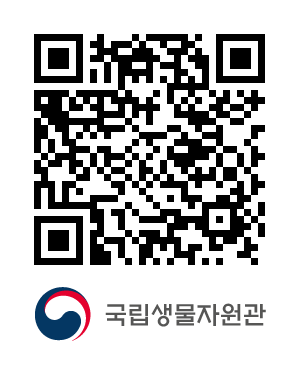QR코드
