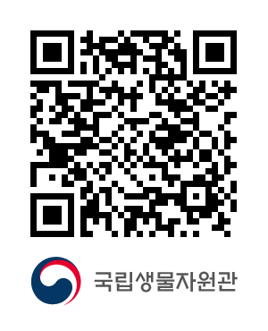 QR코드