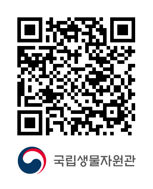 QR코드