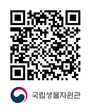QR코드