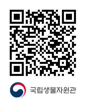 QR코드