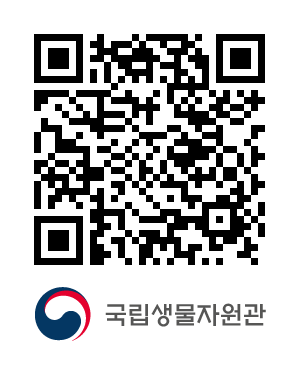 QR코드