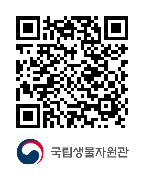 QR코드