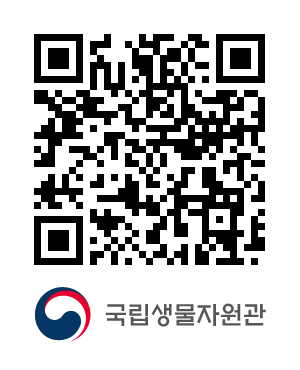 QR코드