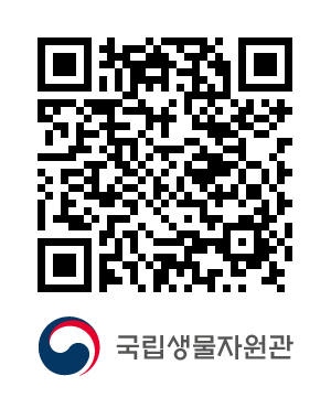 QR코드