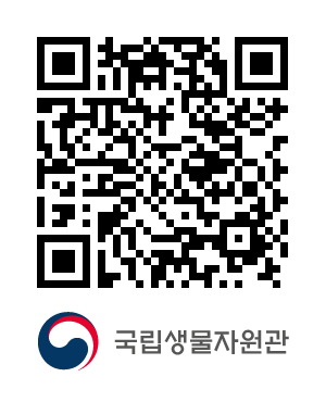 QR코드