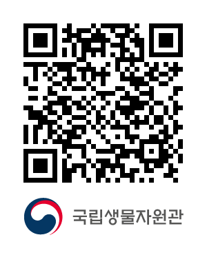 QR코드