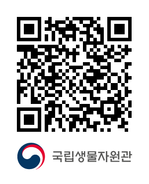 QR코드