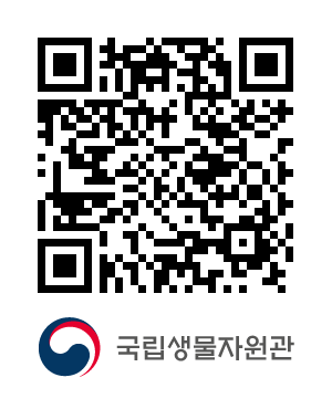 QR코드