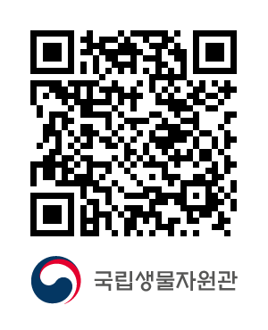 QR코드