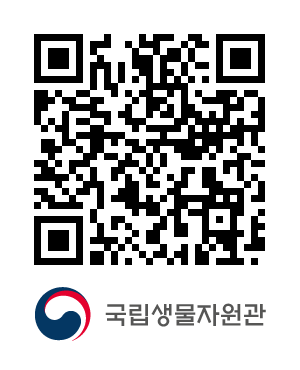 QR코드
