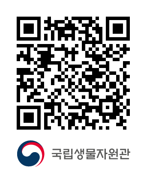 QR코드